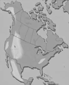 Nordamerika